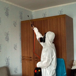 Борьба с клопами в домашних условиях – Томск