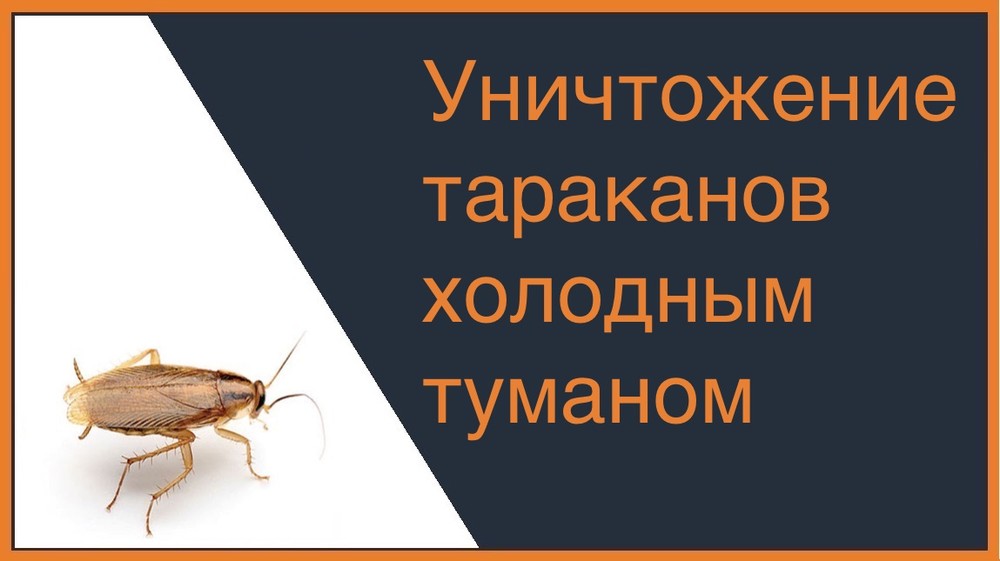 Уничтожение тараканов холодным туманом в Томске