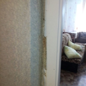 Уничтожение клопов в квартире с гарантией Томск