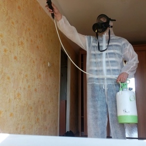 Уничтожение тараканов в квартире – цена в Томске