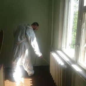 Вывести тараканов в квартире в Томске