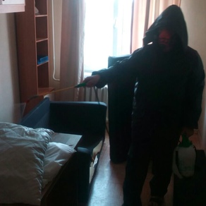 Уничтожение тараканов в квартире с гарантией в Томске